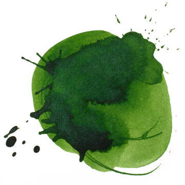 Liquitex Professional Akrilik Mürekkep 30 ml Hooker's Green Hue Permanent 224