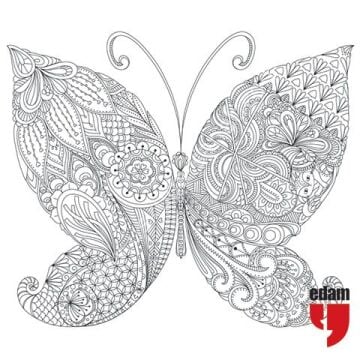 Kedi Nerede? Yetişkinler İçin Bir Boyama Kitabı