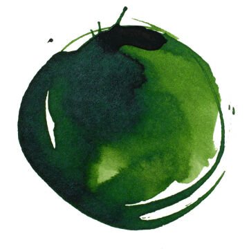 Liquitex Professional Akrilik Mürekkep 30 ml Sap Green Permanent 315
