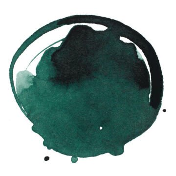 Liquitex Professional Akrilik Mürekkep 30 ml Muted Green 501