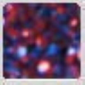 Cadence Toz Sim 45ml 14 Neptün