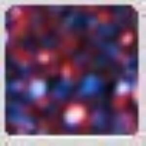 Cadence Toz Sim 45ml 14 Neptün