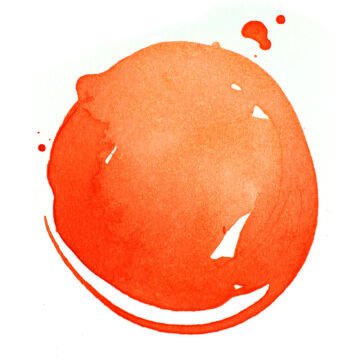 Liquitex Professional Akrilik Mürekkep 30 ml Fluorescent Orange 982