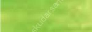 Derwent Studio Kuruboya Kalemi 48 May Green