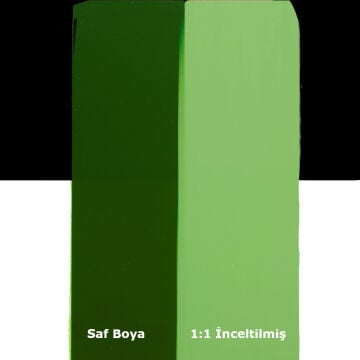 Liquitex Basics Akrilik Boya 118 ml Hooker’s Green Hue Permanent 224