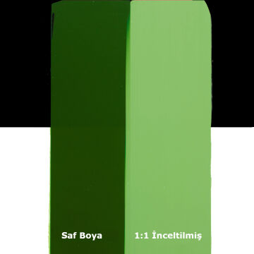 Liquitex Basics Akrilik Boya 118 ml Hooker’s Green Hue Permanent 224
