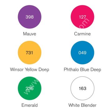 Winsor Newton Pigment Marker Rich- Net Parlak Renkler 6 lı Set