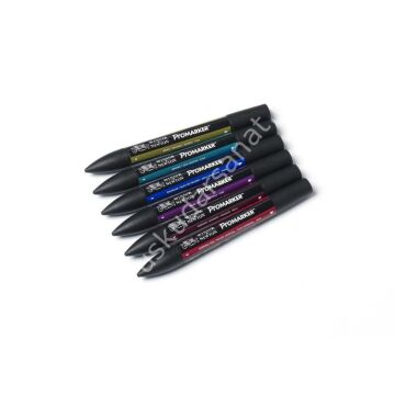 Winsor Newton Promarker Canlı Yoğun Renkler 6 lı Set