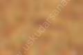 Zig Kurecolor KC-1100 Twin Marker 732 beige