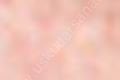 Zig Kurecolor KC-1100 Twin Marker 741 Blush