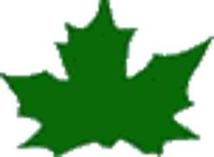 Cadence Akrilik Ahşap Boyası 120ml 8024 YaylaYeşili