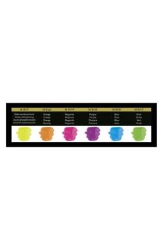 finetec Suluboya Seti Premium Neon 6lı Fn9000