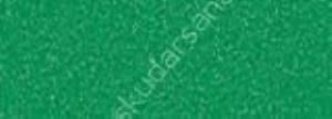 Canson Mi-Teintes 160 gr Renkli Fon Kartonu 50 x 65 cm 575 Viridian