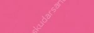Canson Mi-Teintes 160 gr Renkli Fon Kartonu 50 x 65 cm 114 Raspberry
