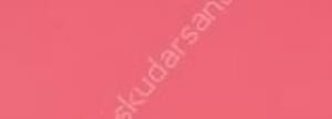 Canson Mi-Teintes 160 gr Renkli Fon Kartonu 50 x 65 cm 117 Plum