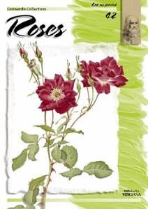 ROSES-GÜL 42