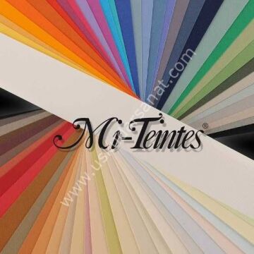 Canson Mi-Teintes 160 gr Renkli Fon Kartonu 50 x 65 cm 352 Orchid