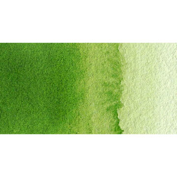 Van Gogh Yarım Tablet Suluboya Sap Green 623