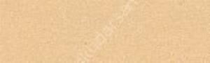 Canson Mi-Teintes 160 gr Renkli Fon Kartonu 50 x 65 cm 407 Cream