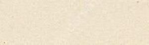 Canson Mi-Teintes 160 gr Renkli Fon Kartonu 50 x 65 cm 111 Ivory