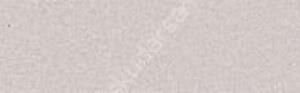 Canson Mi-Teintes 160 gr Renkli Fon Kartonu 50 x 65 cm 120 Pearl grey