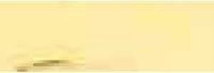 Talens Artcreation Akrilik Boya 75ml 223 Naples Yellow Deep