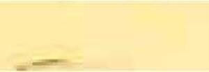 Talens Artcreation Akrilik Boya 75ml 223 Naples Yellow Deep