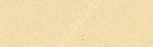 Canson Mi-Teintes 160 gr Renkli Fon Kartonu 50 x 65 cm 101 Pale yellow