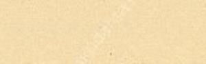 Canson Mi-Teintes 160 gr Renkli Fon Kartonu 50 x 65 cm 101 Pale yellow