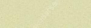 Canson Mi-Teintes 160 gr Renkli Fon Kartonu 50 x 65 cm 100 Lime