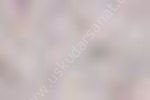 Zig Kurecolor KC-1100 Twin Marker 831 Grey Tint