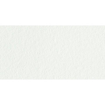 Van Gogh Yarım Tablet Suluboya Chinese White 108
