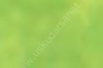 Zig Kurecolor KC-1100 Twin Marker 504 Light Green