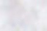 Zig Kurecolor KC-1100 Twin Marker 801 Light Grey