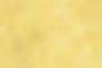 Zig Kurecolor KC-1100 Twin Marker 140 Mellow Yellow