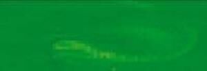 Talens Artcreation Akrilik Boya 75ml 618 Permanent Green Light