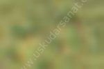 Zig Kurecolor KC-1100 Twin Marker 544 Olive Green