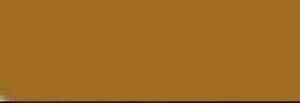 Talens Artcreation Akrilik Boya 75ml 801 Gold