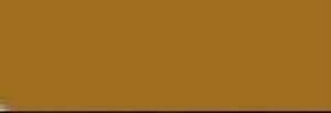 Talens Artcreation Akrilik Boya 75ml 801 Gold
