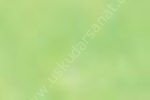 Zig Kurecolor KC-1100 Twin Marker 501 Pale Green