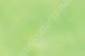 Zig Kurecolor KC-1100 Twin Marker 501 Pale Green