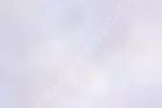 Zig Kurecolor KC-1100 Twin Marker 821 Pale Grey