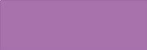 Pebeo Guaj Boya Designer's Colour 16ml Şişe 556 Lilac