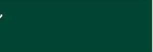 Pebeo Guaj Boya Designer's Colour 16ml Şişe 654 Earth Green