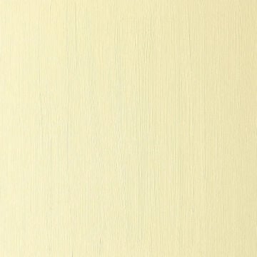 Winsor & Newton Winton Yağlı Boya 37 ml Lemon Yellow Hue 346