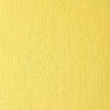 Winsor & Newton Winton Yağlı Boya 37 ml Cadmium Yellow Pale Hue 119