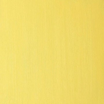 Winsor & Newton Winton Yağlı Boya 37 ml Cadmium Yellow Pale Hue 119