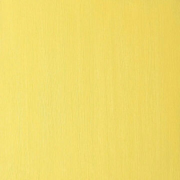 Winsor & Newton Winton Yağlı Boya 37 ml Cadmium Yellow Pale Hue 119