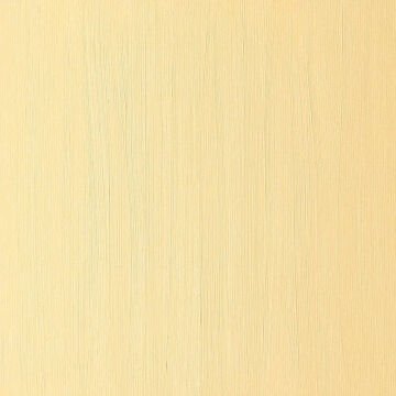 Winsor & Newton Winton Yağlı Boya 37 ml Cadmium Yellow Hue 109