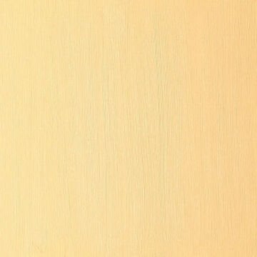 Winsor & Newton Winton Yağlı Boya 37 ml Cadmium Yellow Deep Hue 115